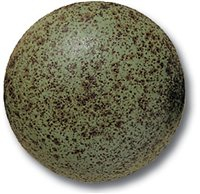 Terracolor Green Marble Speckle - 200ml