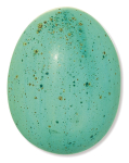 Terracolor Turquoise Speckled Matt Gloss - 200ml