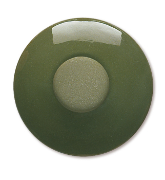 Terracolor - Advocodo Green Decorating Slip - 200ml