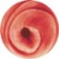 Potterycrafts Leaded Iron Red - 15ml